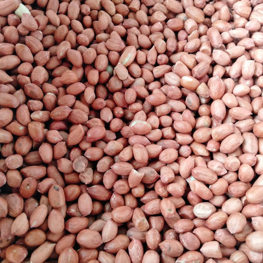 Organic Dried GMO Indian Red Skin Raw Peanuts Bulk Export Quality Uniform Size Directly From Gujarat India