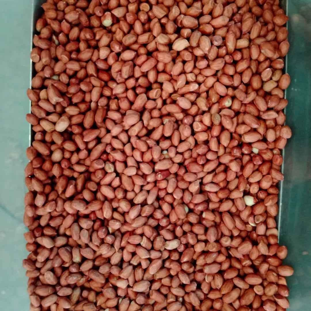 Premium Quality 70/80 Small Size Dried Groundnuts (Peanuts) Grade a 1kg Packaging for Wholesale Export Raw Peanuts for Sale