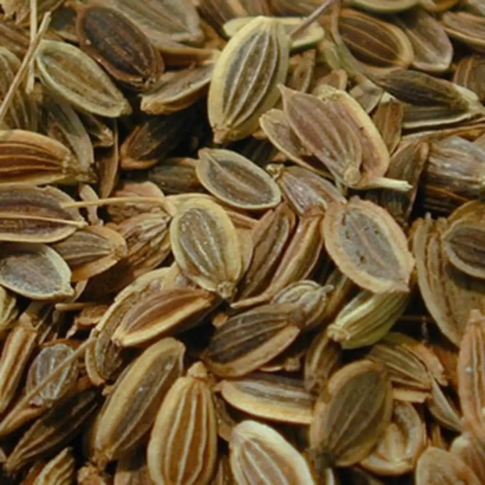 Wholesale Price Best Seller a Grade Naturally Sourced AD Dried Dill Grains Raw Processing Free of Artificial Substances