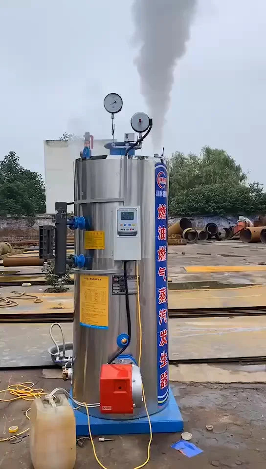 Lhs Small Vertical 500 700 1000 1500 Kg Natural Gas Lpg Oil Diesel Fired Steam Boiler