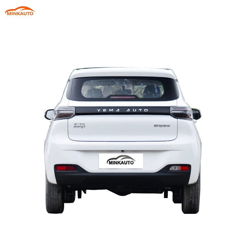 China Long Range Large Space Adults Suv New Electric Ev Car Levdeo Letin mango for Sale