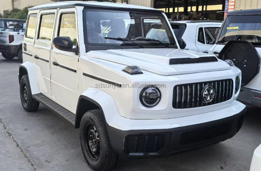 For Geely Panda Mini EV Cheap Small Electric Auto New Energy Vehicle From China Used Cars