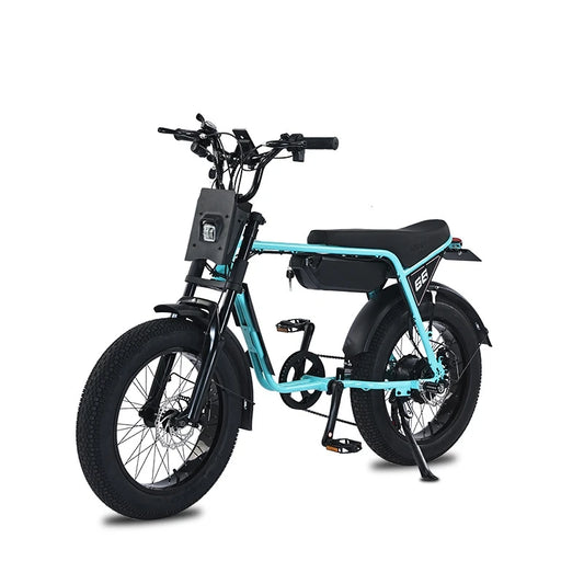 20-Inch Fat Tire Rear Hub Motor 750W Electric City Bike for 2 People with Foot Pegs-Snow & Beach Retro Style