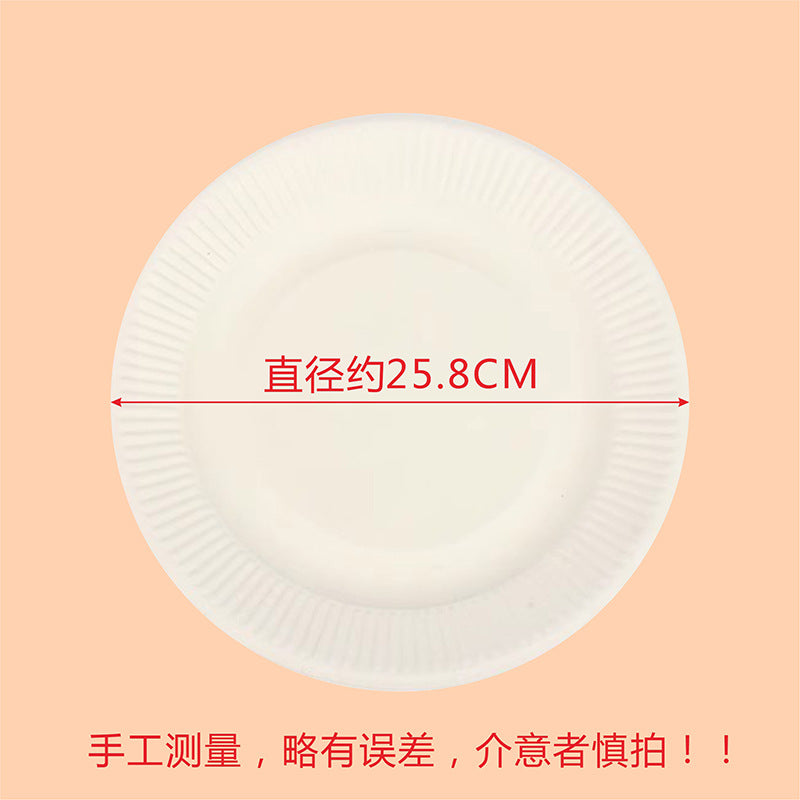 20 Pack Birthday Cake Plate Picnic Party Tableware Paper Plate Kindergarten Art Painting White Paper Plate