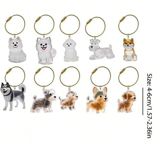 Transparent Dog Hair Storage Container Adorable Pet Keepsake Capsule Pendant With Key Ring for Pet Lovers DIY Memorial Keychain by PDG ibma