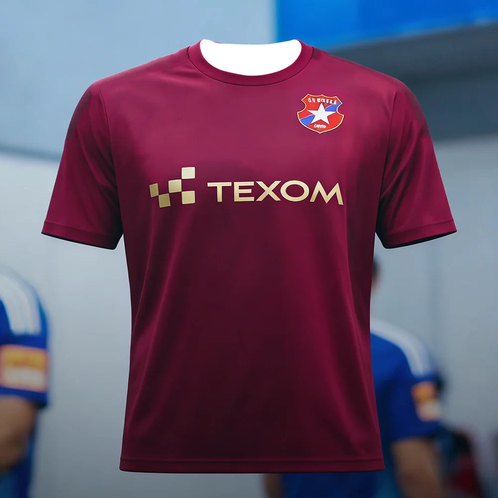 Wisła Kraków 2026 Team Short Sleeved Shirt Breathable Quick Drying Sports T-Shirt for Polish League Fans New Model