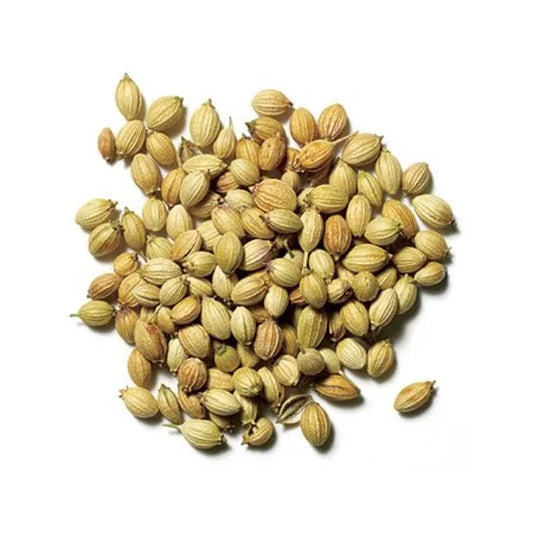 Premium Coriander Seeds Export Quality Whole Spice Graded Natural AromaticFlavour Culinary Seasoning from Saanvisha India