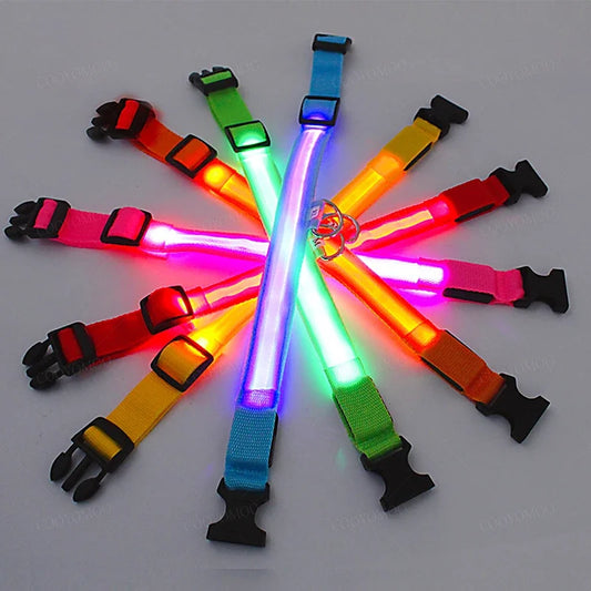3 Modes Dog Luminous Charge Collar Led Usb Cat Dogs Collars Detachable Night Led Glow Dog Loss Prevention Collar Pet Accessories by PDG ibma
