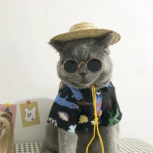 Vintage Round Cat Sunglasses Reflection Eyewear Glasses Pet Products for Dog Kitten Dog Cat Accessories for Small Dogs by PDG ibma