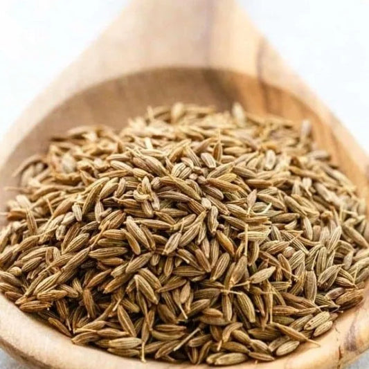 Premium Cumin Seeds Jeera Export Quality Whole Spice Cleaned Natural Seasoning Culinary Aroma from Saanvisha Gujarat India