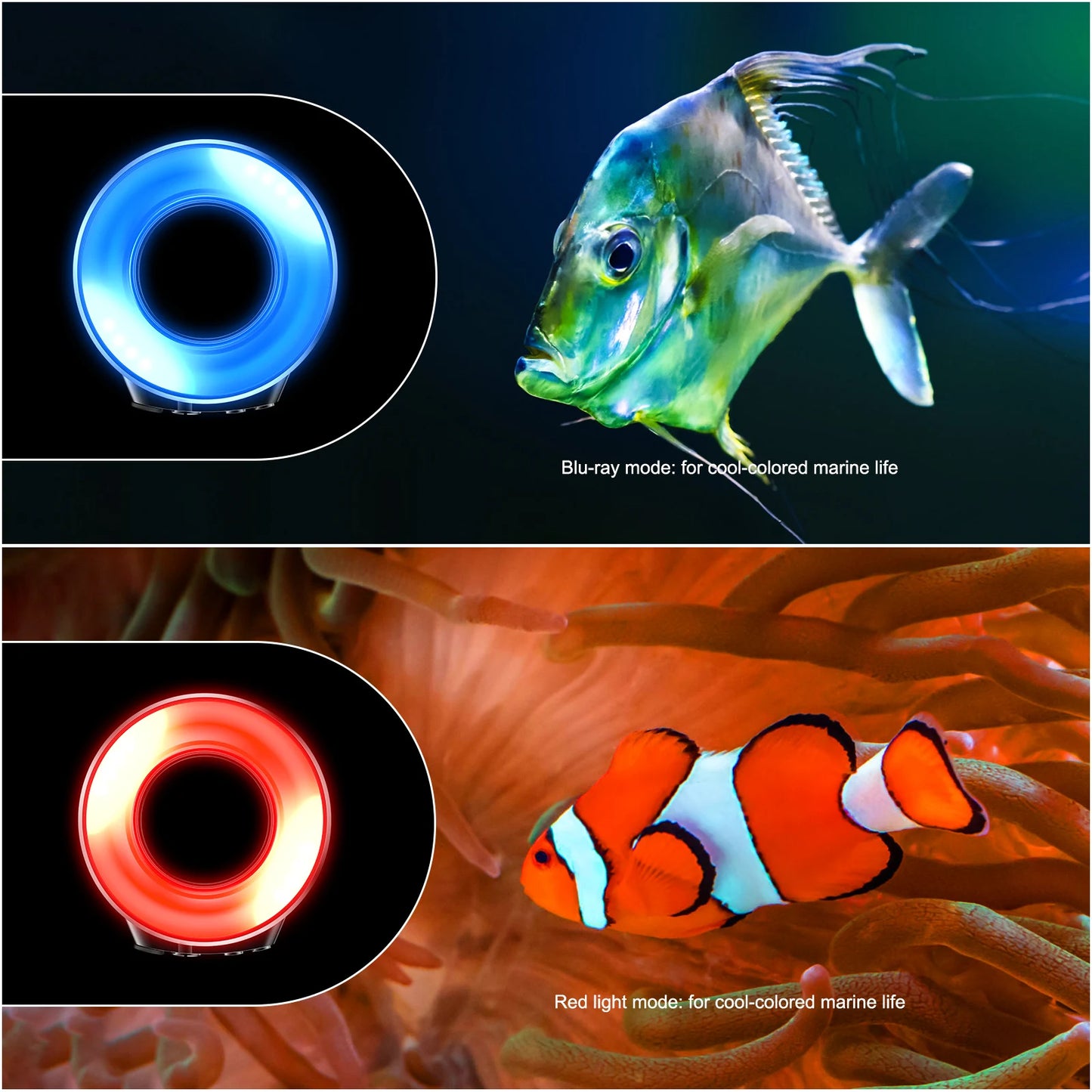 Seafrogs Universal 67mm Thread Ring Flash Light For Camera Phone Housing Waterproof Underwater Light Camera Ring Light