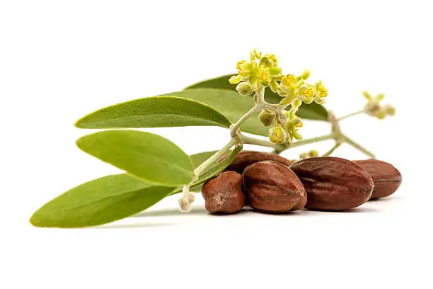 SHREE BEAUTY CARE Pure Jojoba Essential Oil 100% Pure Nature Cold Pressed Skin Care Aromatherapy Body Massage Carrier Oil Israel