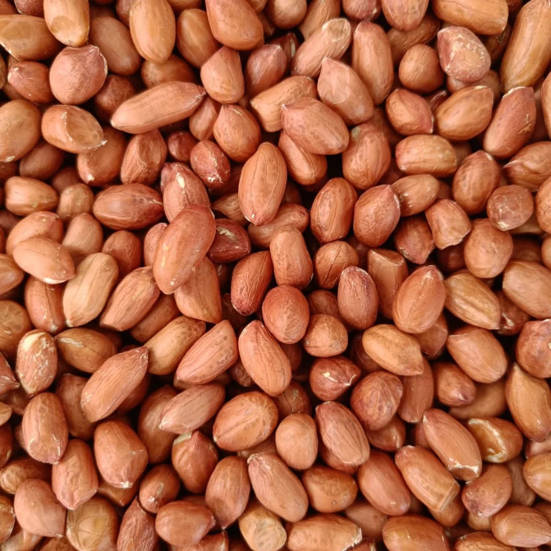 Premium Organic Raw Dried Peanuts (Groundnuts) GMO 100% Pure Grade a | Export-Grade | Bulk 25kg & 50kg | Sourced From India