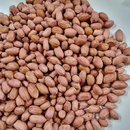 Organic Dried GMO Indian Red Skin Raw Peanuts Bulk Export Quality Uniform Size Directly From Gujarat India