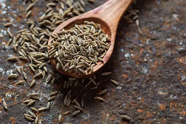 Jiyan Food Ingredients Cumin Seeds Singapore Quality 99% Grade AD Processed Dried Raw Curry Spice India Food Safety Certified