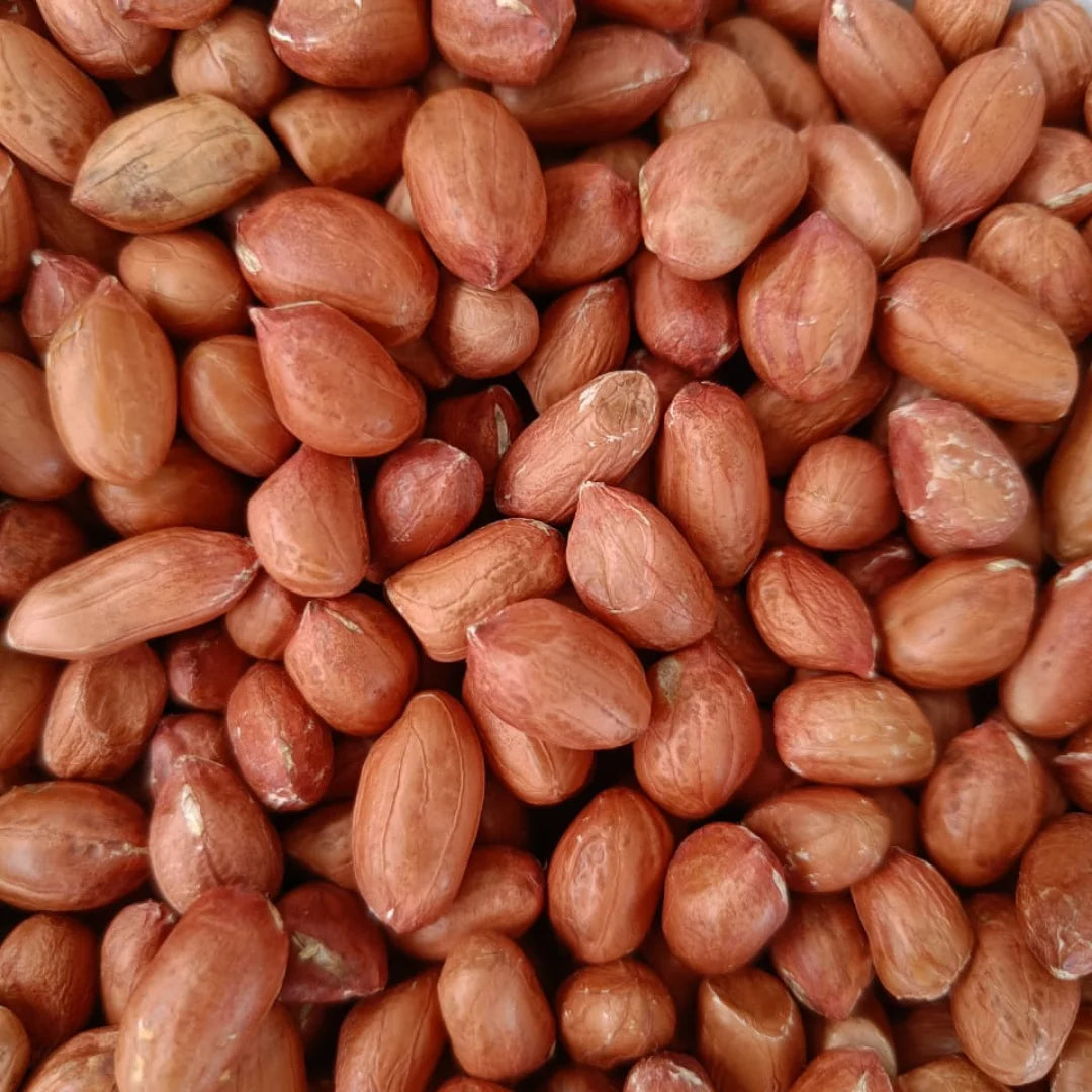 Premium Bold Raw Dried Peanuts GMO Cultivation Export Quality From Gujarat India | 1kg Pack