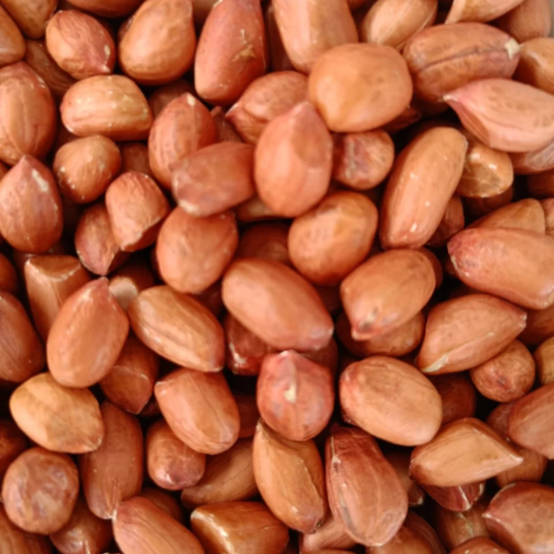 Premium Organic Raw Dried Peanuts (Groundnuts) GMO 100% Pure Grade a | Export-Grade | Bulk 25kg & 50kg | Sourced From India