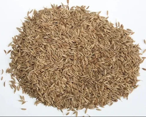 Jiyan Food Ingredients Cumin Seeds Singapore Quality 99% Grade AD Processed Dried Raw Curry Spice India Food Safety Certified