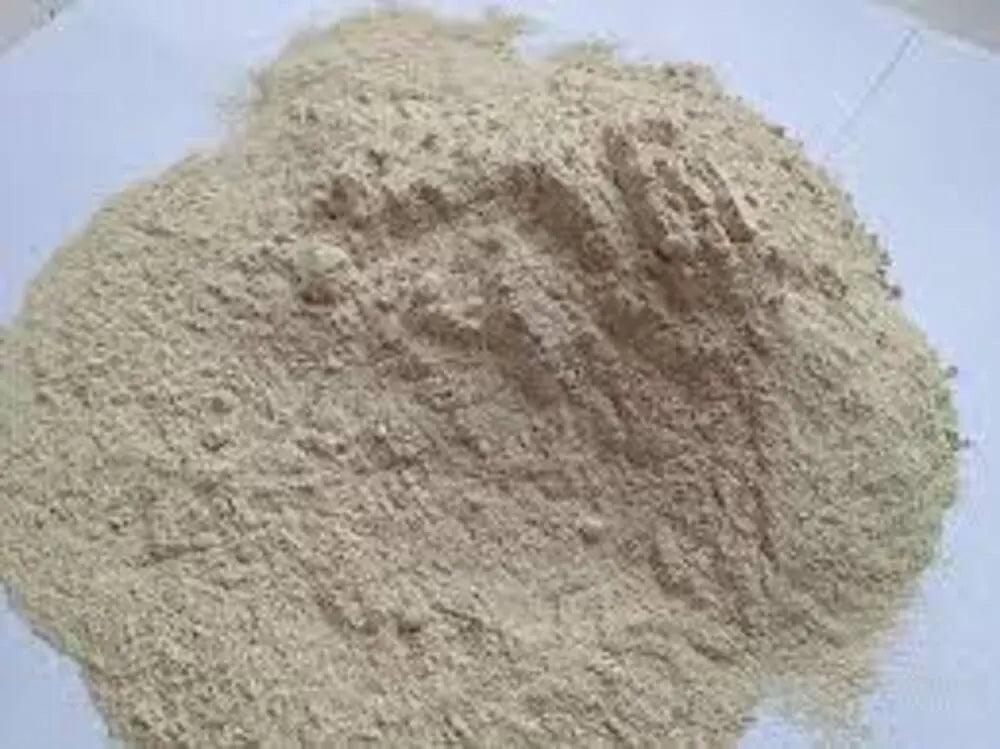 Rice Protein 50% Powder Bulk Supply Organic 25kg to 50 kg Packing Feeding Bulk Plant Exporter in India Manufacture