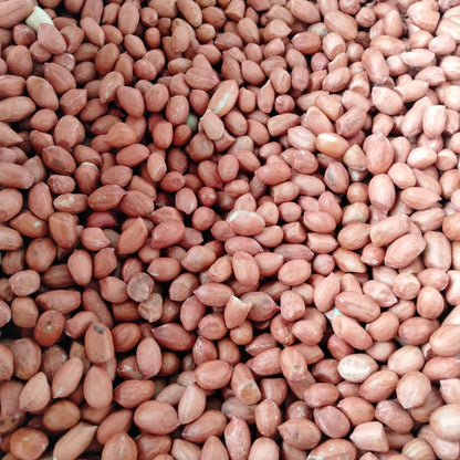 Organic Dried GMO Indian Red Skin Raw Peanuts Bulk Export Quality Uniform Size Directly From Gujarat India