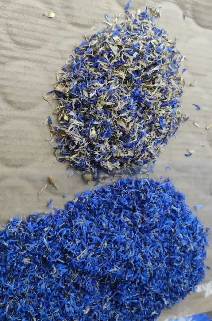 Blue Dried Cornflower petals Exporters From India