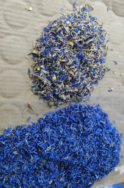 Blue Dried Cornflower petals Exporters From India