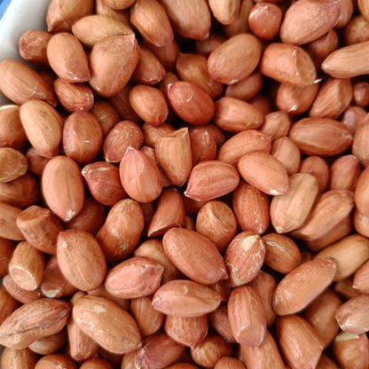GMO Certified 1kg Bulk Medium-Size Raw Groundnuts 100% Unprocessed Grade a for Snack Production Dried Style