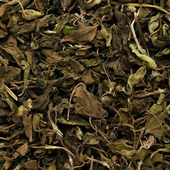 Aromatic dried basil leaves wholesale sweet basil herb dried for sauces soups seasoning blends and professional kitchen use