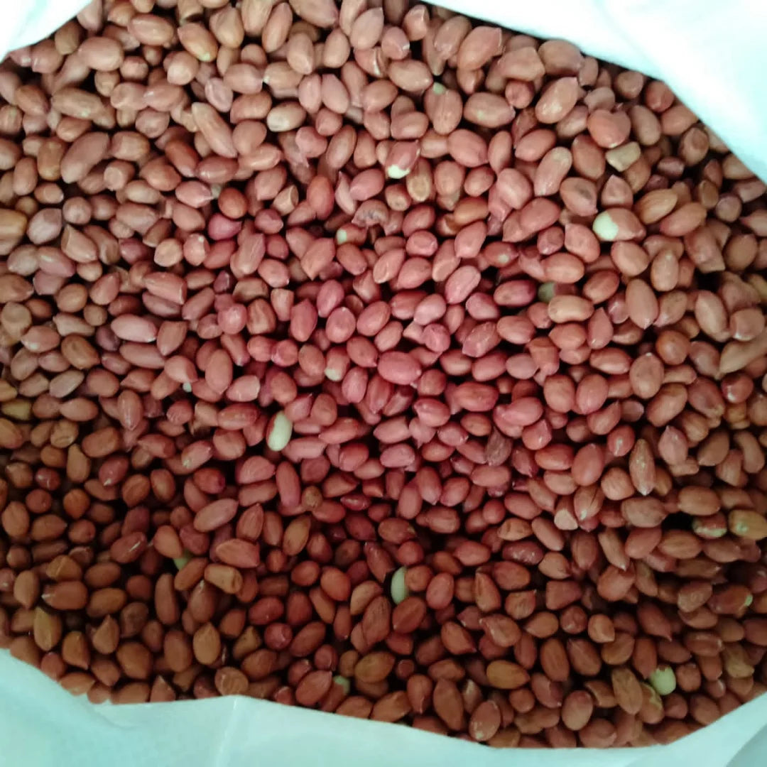 Premium Quality Organic Raw Indian Groundnuts High-Grade Clean Shelled Peanuts Bulk 10KG Natural Snacking Kernels Roasting-Dried