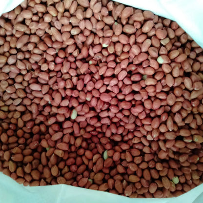 Premium Quality Organic Raw Indian Groundnuts High-Grade Clean Shelled Peanuts Bulk 10KG Natural Snacking Kernels Roasting-Dried