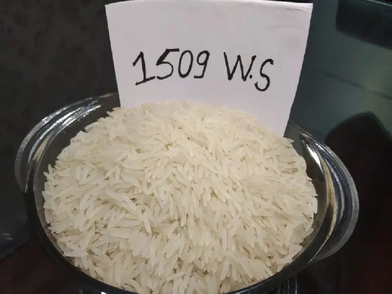 High Quality PAPO FPI0018 Sella Basmati Rice 1509 White Export From India Hard Texture Dried Biryani with Natural Aroma