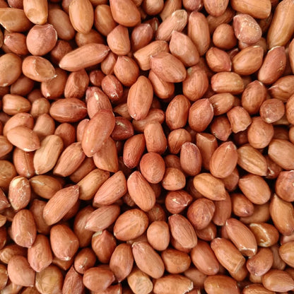 Pure Indian Peanut Premium Java Peanuts Unsalted Natural Wholesome Snack Crispy Fresh Groundnuts Raw Shelled Peanuts Bulk