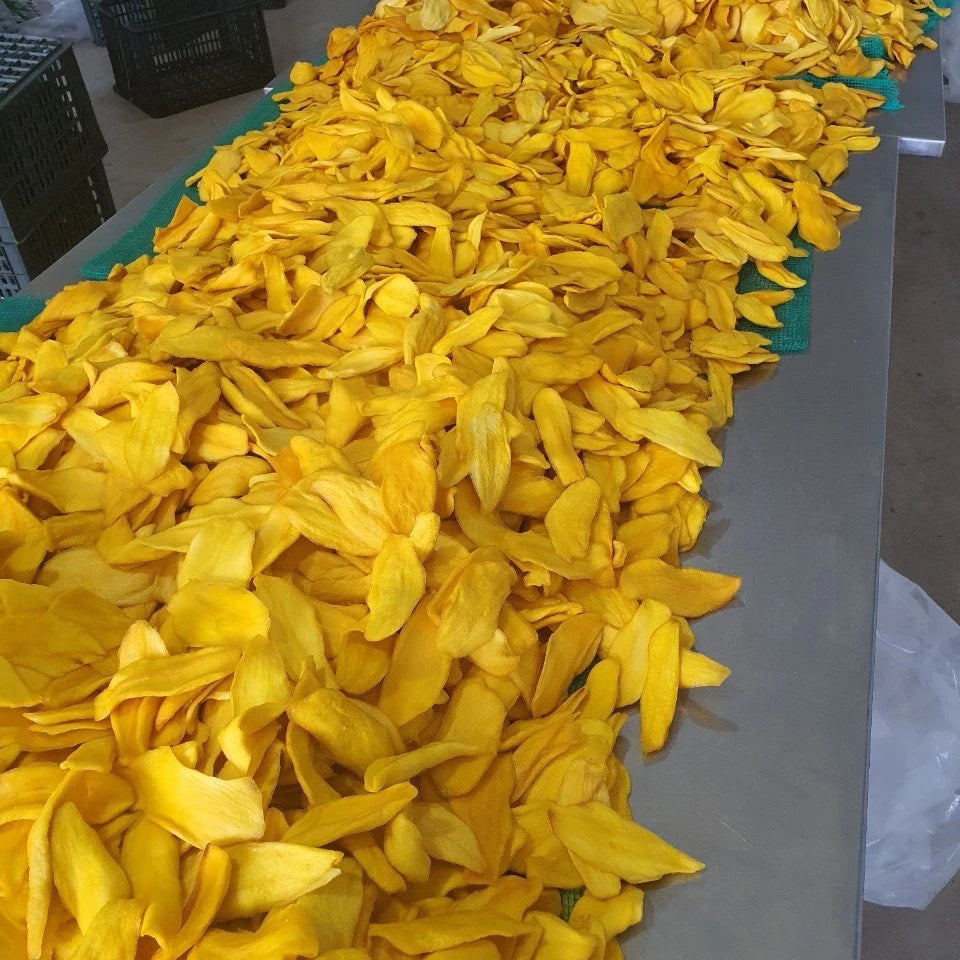 ISO Certified Top Selling Best Quality Special Offer Tasty Soft Dried Mango Bulk Supply