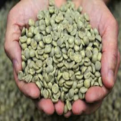 Green Coffee Beans in Bulk Wholesale Coffee Suppliers Organic Green Coffee