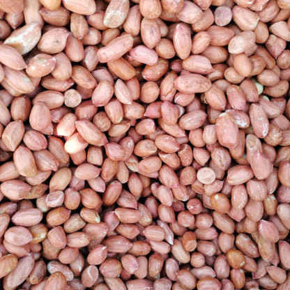 High Quality Organic Indian Java Groundnut Halves Pesticide-Free Dried Raw Peanuts Kernels Jumbo Size Food-Grade 1kg 24 Months