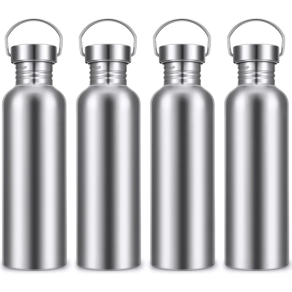 Stainless Steel Double-Walled Sports Bottle with Handle, Metal Reusable Water Bottle with Lid, School, Hiker, Gift
