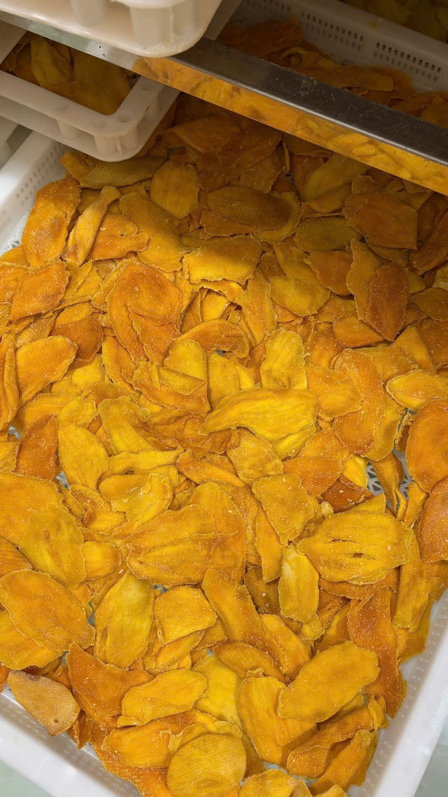 Delicious Chewy Mango Slices Dried Fruit with Soft Texture Perfect for Snack Bars Bulk Orders and Retail Sales