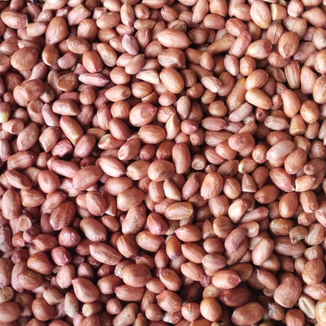High Quality Organic Indian Java Groundnut Halves Pesticide-Free Dried Raw Peanuts Kernels Jumbo Size Food-Grade 1kg 24 Months