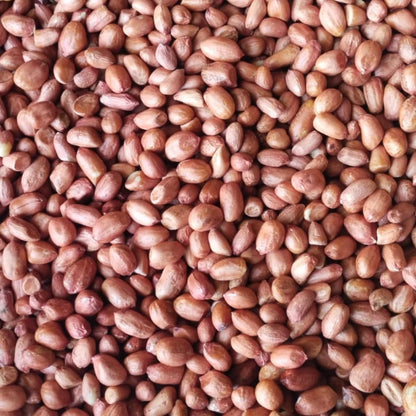 High Quality Organic Indian Java Groundnut Halves Pesticide-Free Dried Raw Peanuts Kernels Jumbo Size Food-Grade 1kg 24 Months