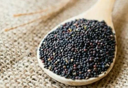 Hand Selected Premium Grade Brown Nutrient Rich Naturally Grown Fresh Raw Processing Indian Mustard Grains Supplier for Bulk