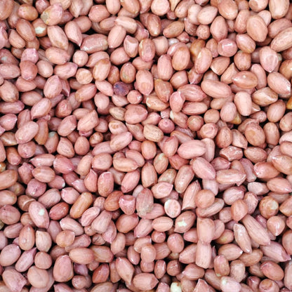 High Quality Organic Indian Java Groundnut Halves Pesticide-Free Dried Raw Peanuts Kernels Jumbo Size Food-Grade 1kg 24 Months