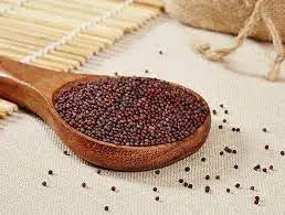 Hand Selected Premium Grade Brown Nutrient Rich Naturally Grown Fresh Raw Processing Indian Mustard Grains Supplier for Bulk