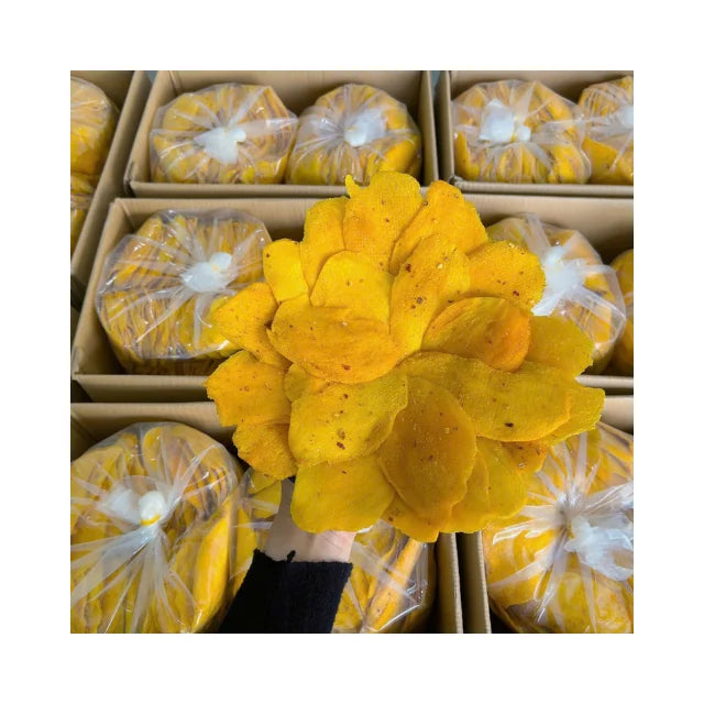 Delicious Chewy Dried Mango Slices Soft Texture Sweet Taste Perfect for Bulk Orders Snack Retail and Exports