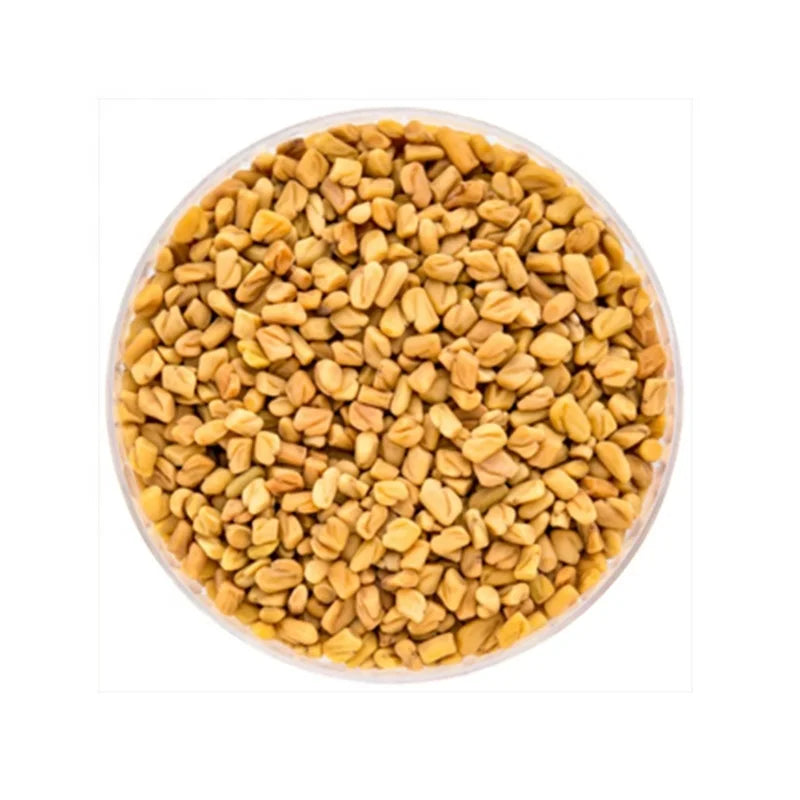 High Quality Traditional Indian Fenugreek Seeds Single Spices Herb in Bulk Dried AD Raw Processing Round 5kg
