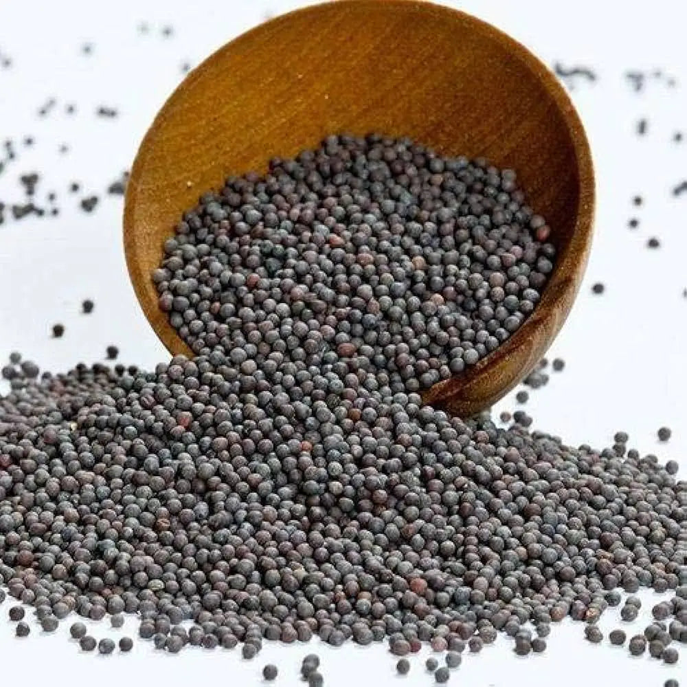 Hand Selected Premium Grade Brown Nutrient Rich Naturally Grown Fresh Raw Processing Indian Mustard Grains Supplier for Bulk