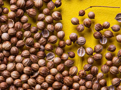Coriander Seeds Premium Quality