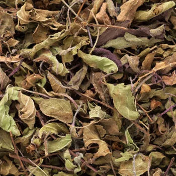 Aromatic dried basil leaves wholesale sweet basil herb dried for sauces soups seasoning blends and professional kitchen use