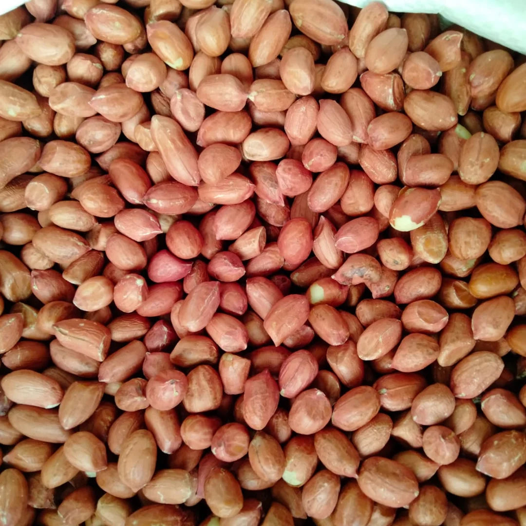 Premium Quality Organic Raw Indian Groundnuts High-Grade Clean Shelled Peanuts Bulk 10KG Natural Snacking Kernels Roasting-Dried
