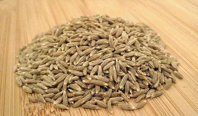 Jiyan Food Ingredients Cumin Seeds Singapore Quality 99% Grade AD Processed Dried Raw Curry Spice India Food Safety Certified