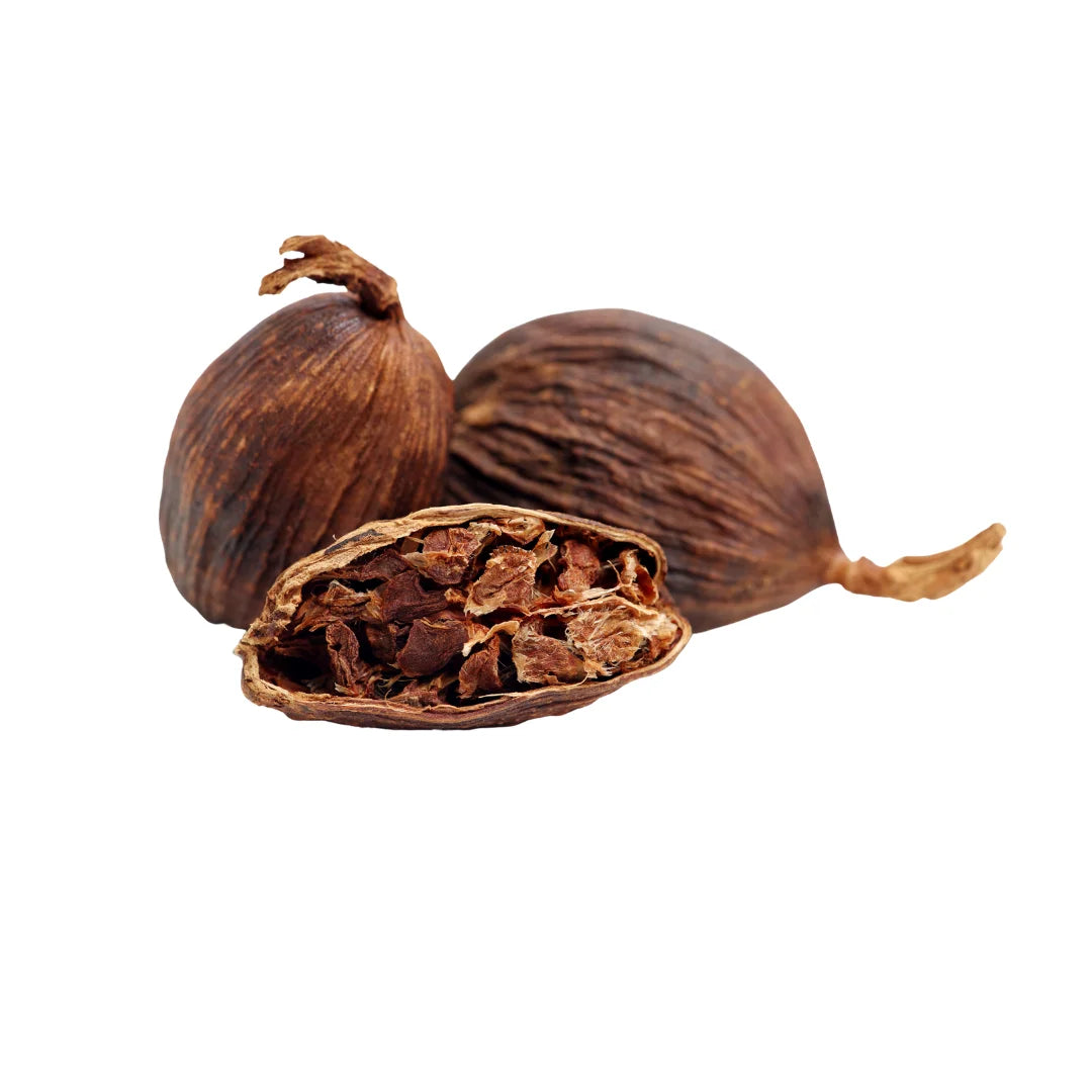 Best Selling Competitive Price Vietnam Factory Premium Quality Black Cardamom Bulk Supply